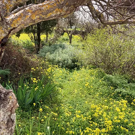 The Priest House וילה Makrotándalon